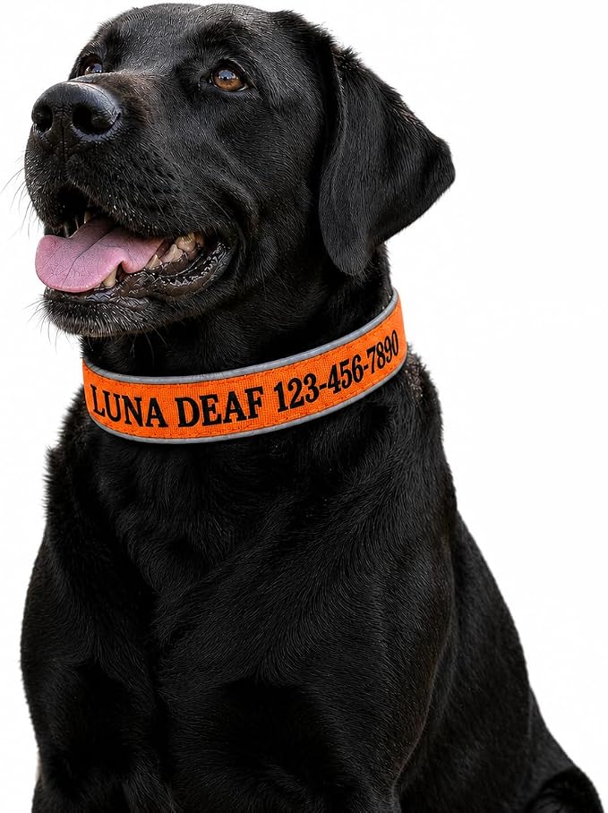 Custom Embroidered Dog Collar with Name and Phone Number, Personalized Safety Alert Collar for Deaf, Microchipped, Senior & Rescue Dogs, Reflective Nylon Collar with Metal Buckle