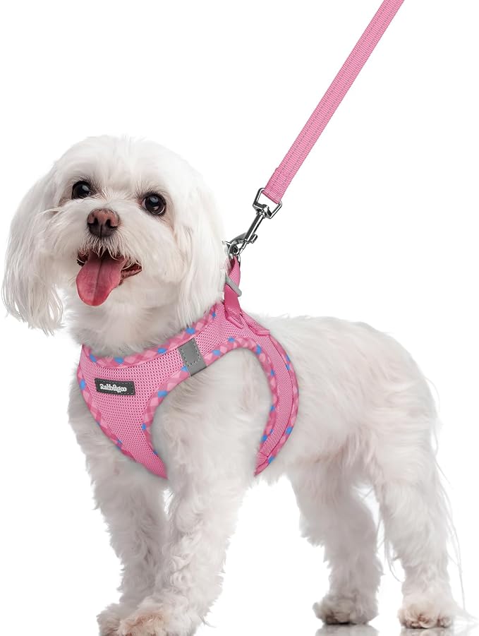 rabbitgoo Dog Harness Small Sized and Leash Set, Step-in Puppy Pet Vest | Light, Soft, Breathable Air Mesh, Easy on and Remove with Hook & Loop, Secure Reflective for Walking, Pink & Plaid Trim M