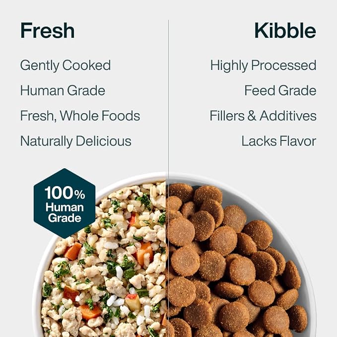 JustFoodForDogs Pantry Fresh Wet Dog Food, Complete Meal or Dog Food Topper, Chicken & White Rice Human Grade Dog Food Recipe - 12.5 oz (Pack of 12) | Fresh Pet Meal or Fresh Dog Food Topper, Human Grade Recipe Made With Whole Foods, Preservative-Free,...