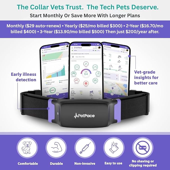 New PetPace V3.0 Cat Health Monitor by PetPace – AI Health Collar with 24/7 Vital Signs Alerts, GPS, Telehealth Consults, AskaVet & Share with Your Vet & SmartWatch Sync – Subscription Required