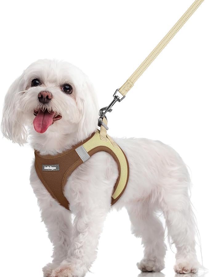 rabbitgoo Dog Harness Small Sized and Leash Set, Step-in Puppy Pet Vest | Light, Soft, Breathable Air Mesh, Easy on and Remove with Hook & Loop, Secure Reflective for Walking, Brown & Beige M