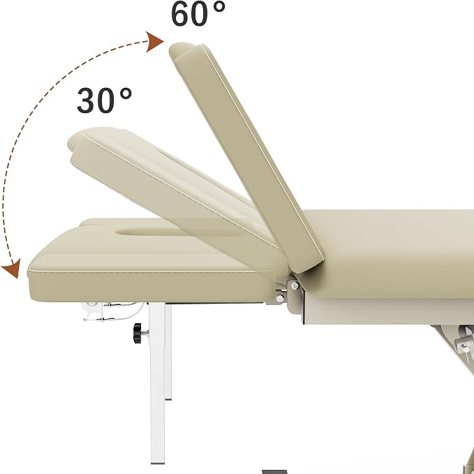 2 Motors Electric Massage Table, Hydraulic Electric Lift Adjustable Waist and Height Lifting Functions for Treatment, Physical Therapy, Spinal Massage, Facial Spa, Waxing, Tattooing - Beige Gray
