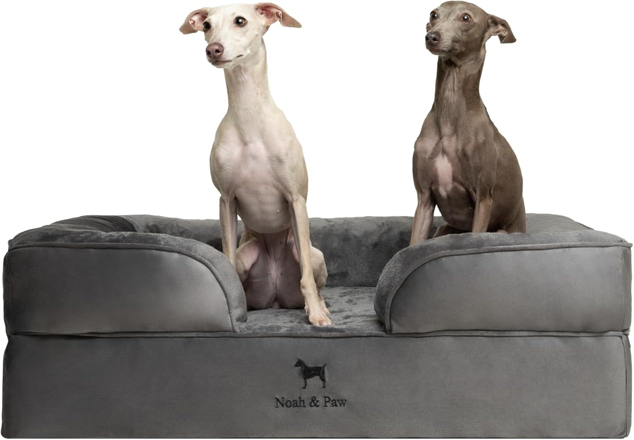NOAH & PAW Large Dog Bed, 35x25x11 Inch, Orthopedic Dog Beds, Eggshell Memory Foam Infused with Cooling Gel, Inner Cover, Water Resistant, Machine Washable (Velvet Sofa Collection)