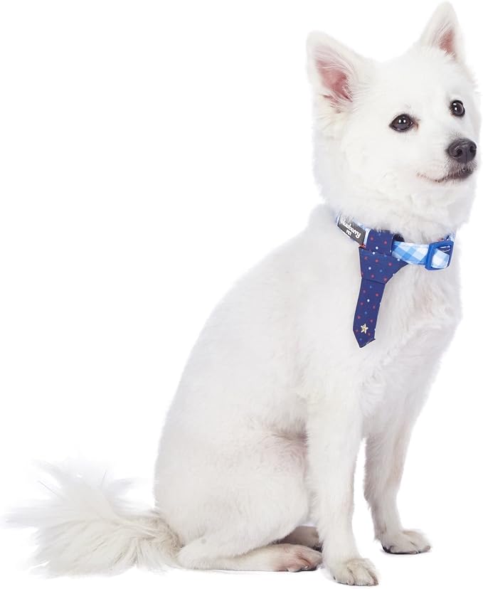 Blueberry Pet 4 Patterns Blue Hue Scottish Plaid Style Adjustable Tie Dog Collar, Small, Neck 12"-16"