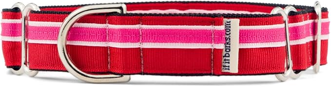 If It Barks 1" Martingale Collar Handmade OC Stripe, Medium, Shortcake