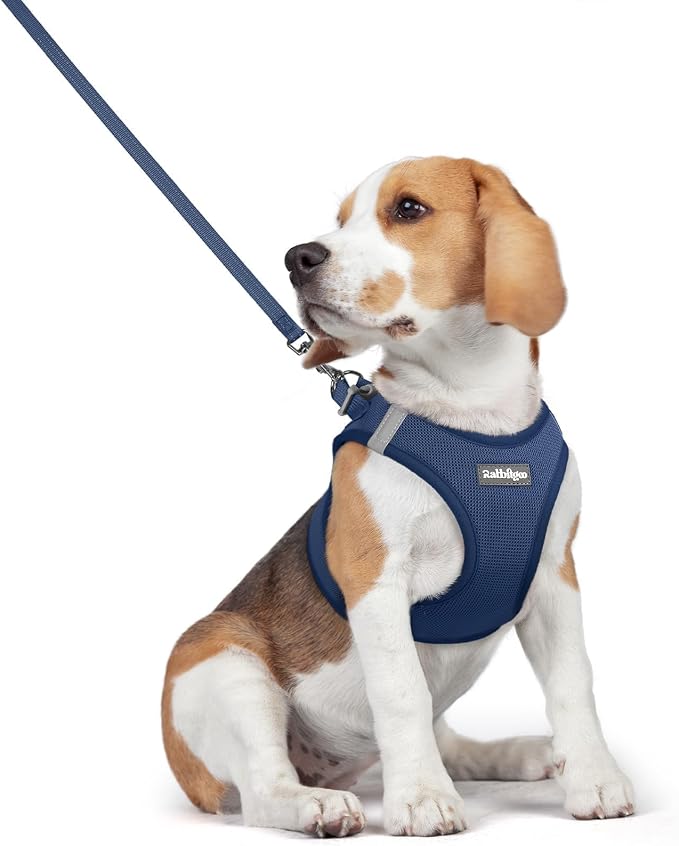rabbitgoo Dog Harness Medium Sized and Leash Set, Step-in Puppy Pet Vest | Light, Soft, Breathable Air Mesh, Easy on and Remove with Hook & Loop, Secure Reflective for Walking, Navy Blue L