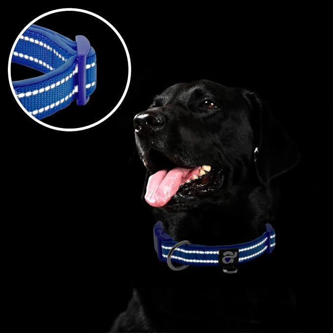 azuza Reflective Dog Collar, Neoprene Padded Large Dog Collar, Royal Blue L