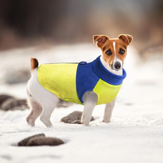 Idepet Dog Fleece Vest Sweater Zip Up Warm Pullover Dogs Jacket with D-Ring Leash Winter Cold Weater Coat Pet Sweatershirt Clothes Hoodie for Small Medium Dogs Boy Girl (Blue/Green, XL)
