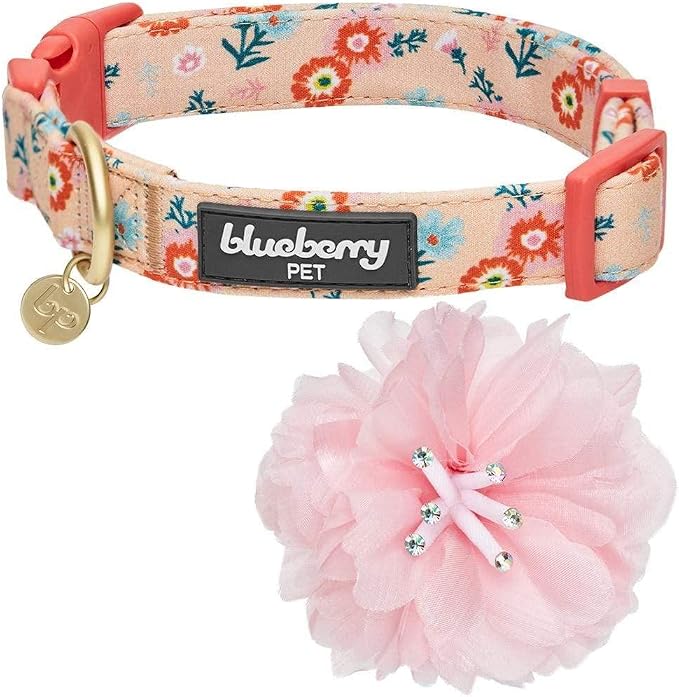 Blueberry Pet Floral Power Cosmos Designer Orange Adjustable Dog Collar with Detachable Pink Peony, Small, Neck 12"-16"
