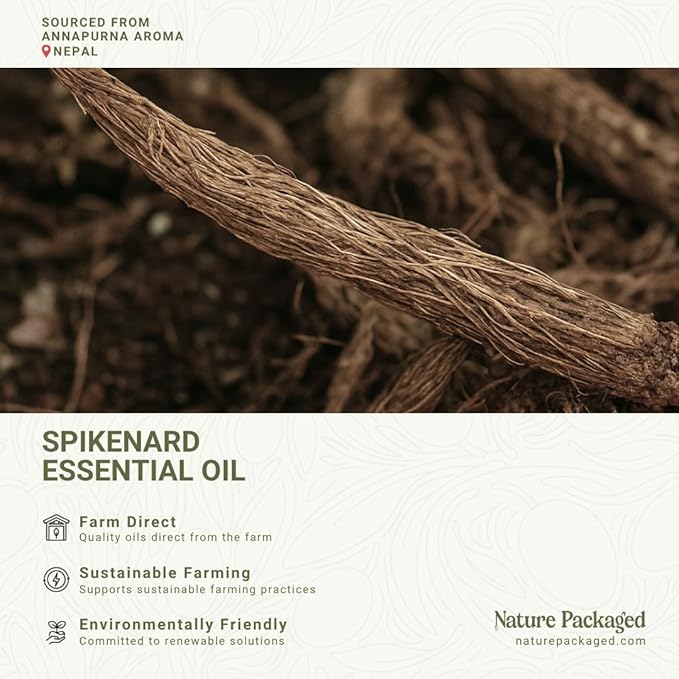 Organic Spikenard Essential Oil - Direct from Annapurna Aroma Nepal - Steam Distilled - Aceite de Nardo for Aromatherapy, Massage, Diffuser, DIY Candle and Soap Making - 2lbs