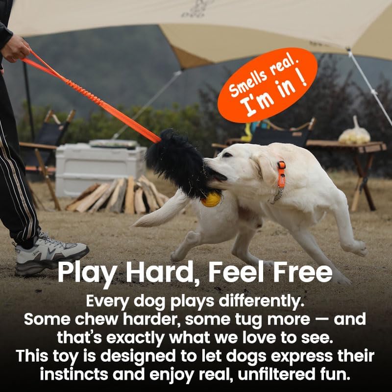 HOWGO Bungee Dog Toy, 100% Sheepskin Tug Rope (Orange, Long w/o Ball 2PC)
