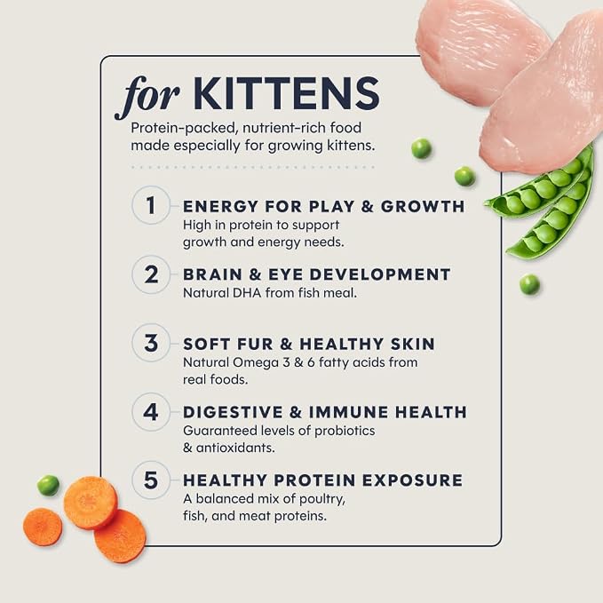 Instinct Original Kitten Dry Food, Raw Coated, Real Chicken, 4.5 lb. Bag | Raw-coated kibble with cage-free chicken, high animal protein, DHA, probiotics, and omegas to support growing kittens
