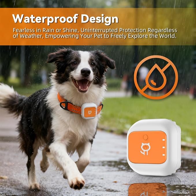 Smart GPS Tracker for Cat Dog GPS Collar Tracker for Pet Anti-Lost Device for Pets (Large for Dog)