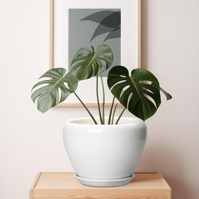 Ceramicfor Ceramic Pot for Plants - 10 Inch Planter with Drainage Hole and Saucer, Glaze Modern Round Flower Pot for Indoor Plants, Housewarming Gift, Home Decor, White