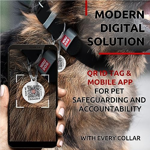 WAUDOG Long Lasting Leather Dog Collar for Large Dogs, Medium & Small Dogs - Adjustable Classic Puppy Collars for Large Breed Dogs - Boy & Girl Dog Collars with Durable Buckle, D-Ring & QR Dog Tag