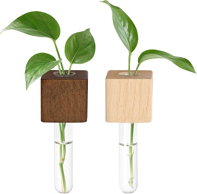 Magnetic Test Tube Flower Vases for Refrigerator, Set of 2 | Wooden magnetic vases in light and dark finishes for fresh cuttings and plant propagation. Plant not included. ﻿