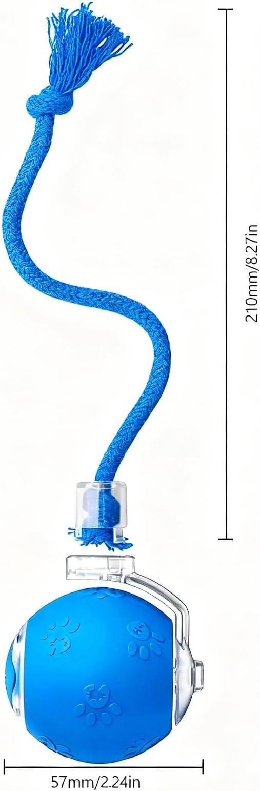 Speed 2.0 Tail Interactive Cat Toys, Rechargeable Ball for Indoor Cats