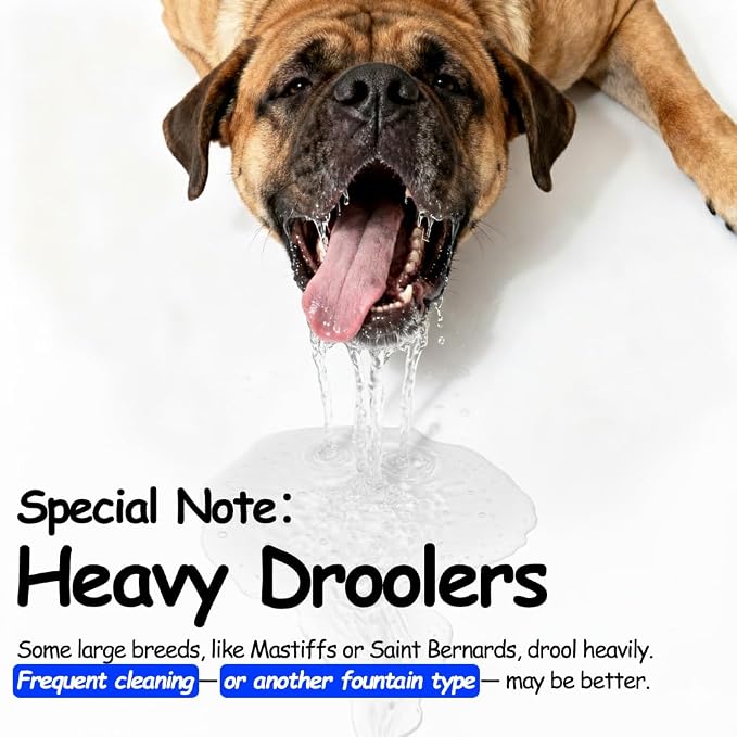 3 Gallon Stainless Steel Dog Water Fountain, Large Dogs, 2 Filters | 3-gallon stainless steel dog water fountain with quiet flow, easy-clean parts, 2 filters, plus a shallow bowl for large dogs.