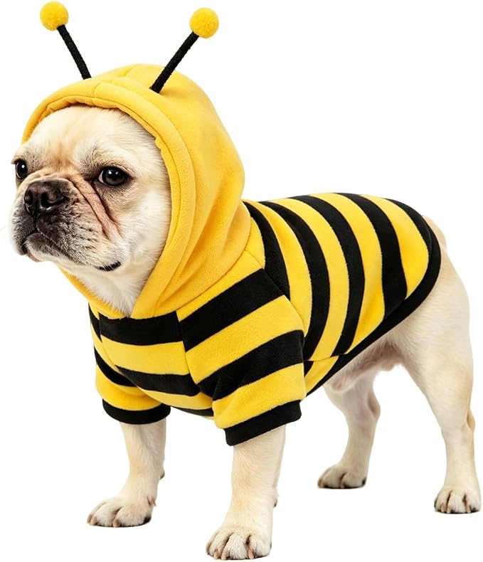 Fleece Lined Bumble Bee Design Dog Hoodie Costume with Antennae, M | Autumn Winter Cute Pet Clothing & Halloween Cosplay For 2-18 Lbs Dog Cat French Bulldog Chihuahua Pug Poodle Dachshund