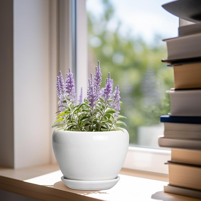 Ceramicfor Ceramic Pot for Plants - 6 Inch Plant Pot for Succulent Plants, Glaze Modern Round Planter with Drainage Hole and Saucer, Gifts for Plant Lovers, Home Office Patio Room Decor, White