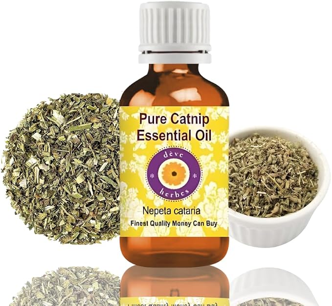 Deve Herbes Pure Catnip Essential Oil (Nepeta cataria) Steam Distilled 10ml (0.33 oz)