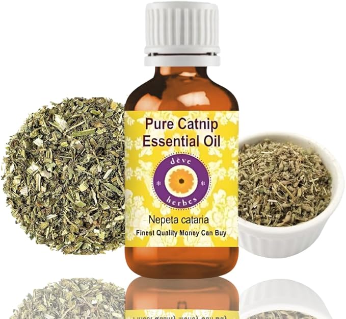 Deve Herbes Pure Catnip Essential Oil (Nepeta cataria) Steam Distilled 30ml (1 oz)