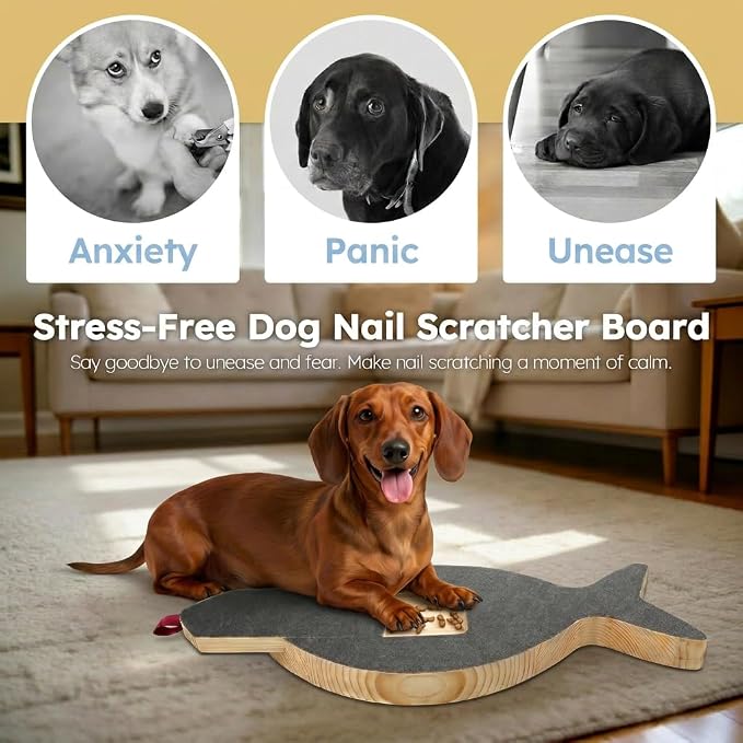 Dog Nail Scratch Board with Treat Drawer, Stress-Free Nail File for Small Medium Large Dogs, Front Paw Scratch Pad Alternative to Clippers, Replaceable Sandpaper Training Tool