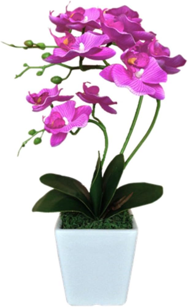 15" Silk Phalaenopsis Orchid in Square Pot, Fuchsia Flower Arrangements | Lifelike Faux Potted Blooms with Moss in a Ceramic Planter. Looks Real, Zero Upkeep, Ideal Centerpiece for Any Table