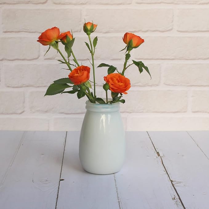 YANLING 6 Pack White Vase for Decor Small Ceramic Vase for Flowers | Bud Vases for Home Decor White Flower Vase, Boho Vases Dried Flowers Vases