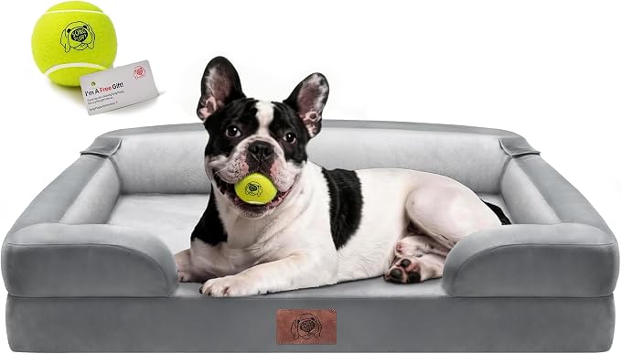 Waterproof Orthopedic Dog Bed for Medium Large Sized Dogs | Memory Foam Pet Bed Sofa with Bolster, Dog Couch with Washable Cover & Non-Slip Bottom, 30x20 Inch, Grey