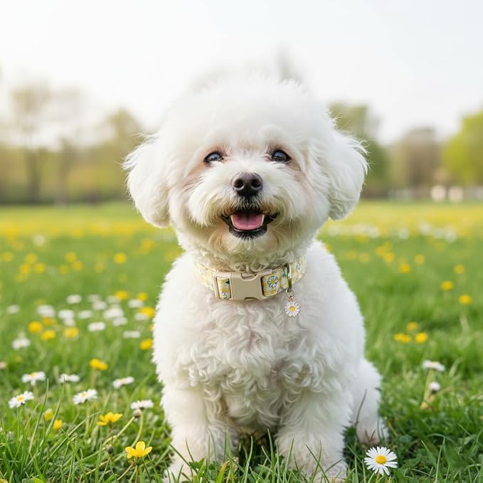 Cute Dog Collar, Yellow Plaid Dog Collar with White Floral Pattern, Spring Summer Design Floral Collar for Girls Boys Medium Dogs