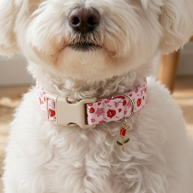 Dog Collar, Girl Dog Collars with Kiess Pattern, Cute Pet Collar with Soft Fabric and Quick Release Buckle, Adjustable for Extra Small, Small Dogs