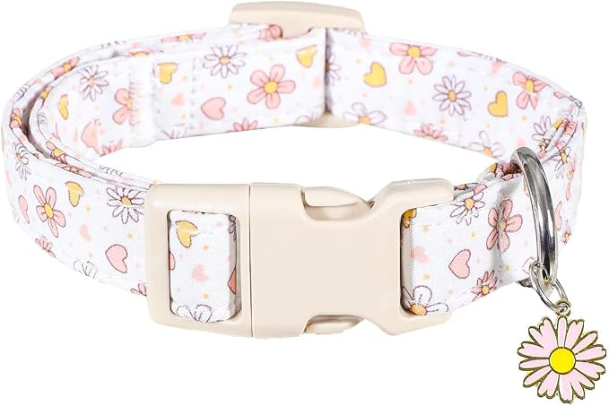 Dog Collar, Floral Dog Collar with Flower Daisy Pattern, Spring Summer Design for Small Medium Dogs, S