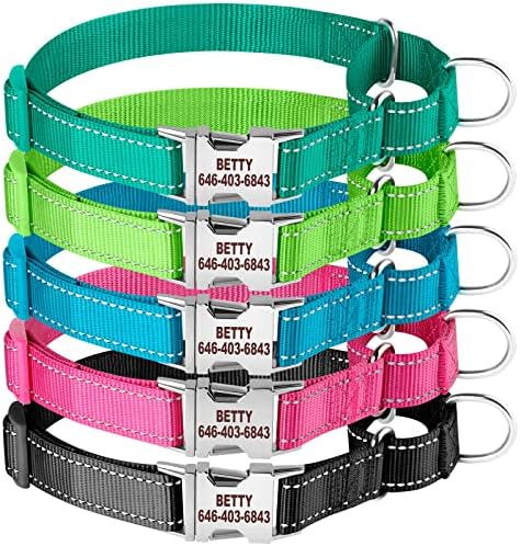 Personalized Martingale Dog Collar-Reflective Martingale Collars with Buckle, Custom Training Martingale Dog Collars Embroidered with Name and Phone Number for Small Medium Large Dogs