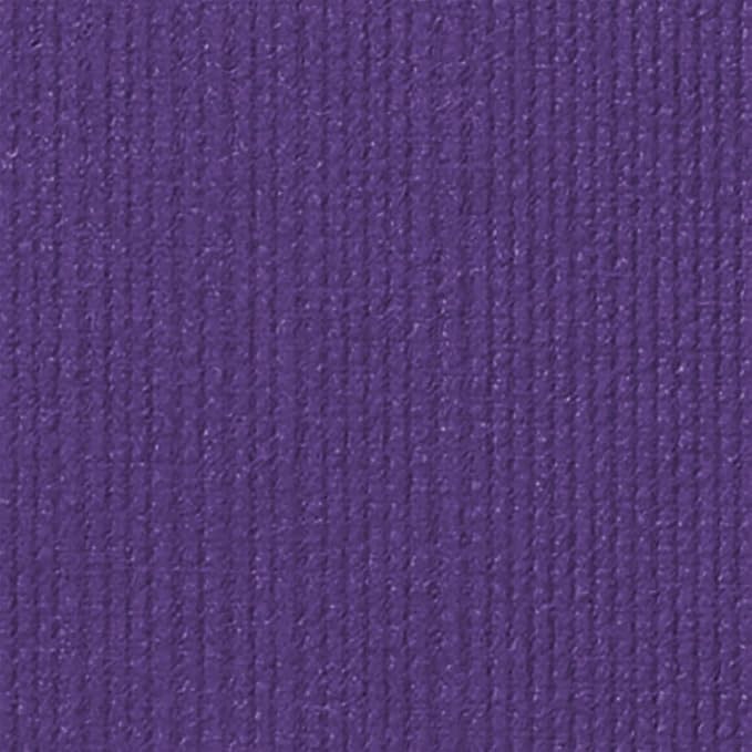 Manduka PRO Yoga Mat - 6mm | Lifetime Durability | Hygienic Construction | Premium Studio Quality | Teacher Approved