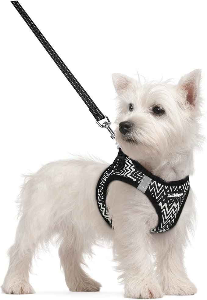 rabbitgoo Dog Harness Small Sized and Leash Set, Step-in Puppy Pet Vest | Light, Soft, Breathable Air Mesh, Easy on and Remove with Hook & Loop, Secure Reflective for Walking, Black Zigzag S