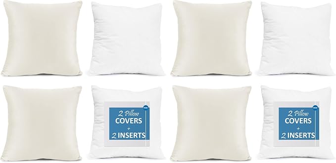 Throw Pillow Inserts Pack of 4 with Velvet Soft Solid Decorative Square Throw Pillow Covers Set for Sofa Couch Car Bedroom, 20X20 Throw Pillows Inserts with 18x18 Washable Cushion Covers, Off White