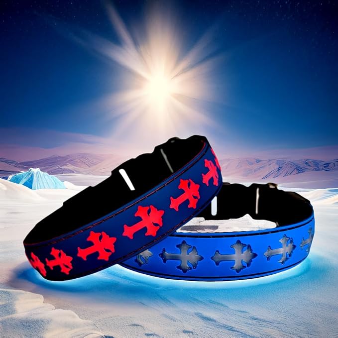 Light Up Glow Dog Collar with Chinese Style AirTag Holder