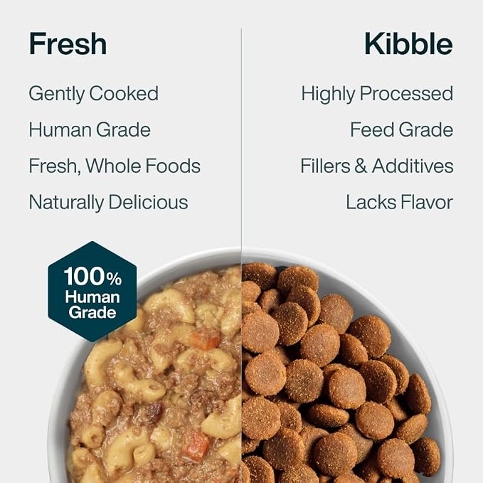 JustFoodForDogs Pantry Fresh Wet Dog Food Complete Meal or Dog Food Topper, Turkey & Whole Wheat Macaroni Human Grade Dog Food Recipe - 12.5 oz (Pack of 12) | Fresh Pet Meal or Fresh Dog Food Topper, Human Grade Recipe Made With Whole Foods, Preservati...