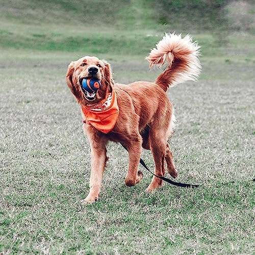 Chuckit! Ultra Squeaker Ball Dog Fetch Toy, Large 3in, for Big Breeds
