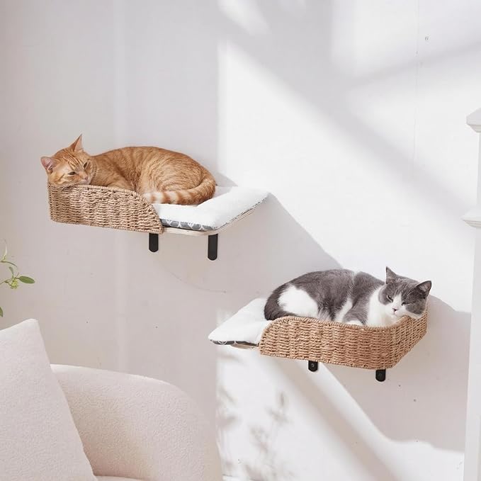 SHENGOCASE 2-Pack Wooden Cat Wall Window Bed with Handwoven Guardrail, Wall-Mounted Perch Furniture Set with 3 Steps