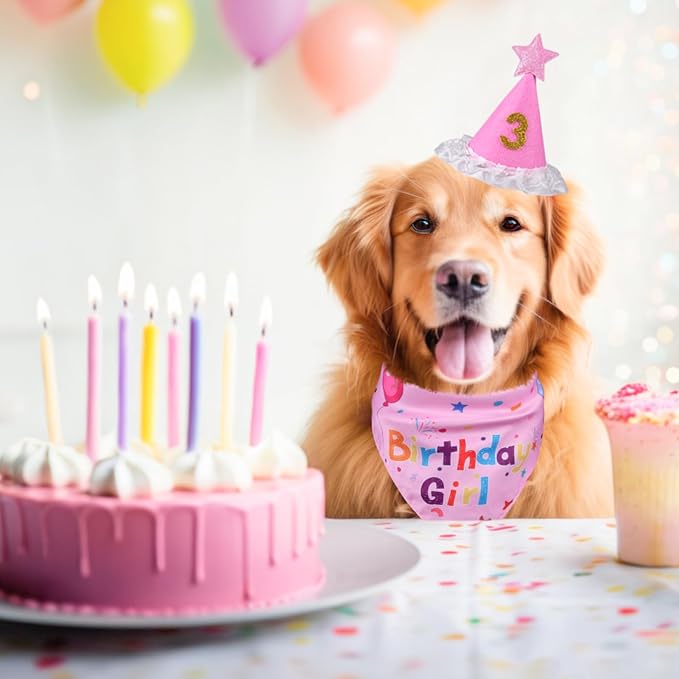 Dog Girl Birthday Party Hat, Dog Birthday Party Supplies | Dog Birthday Bandana Set with Numbers for Gaint and Extra Large Puppy (Pink)