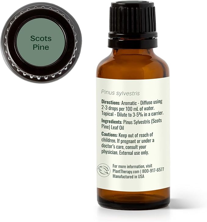 Plant Therapy Scots Pine Essential Oil 30 mL (1 oz) 100% Pure, Undiluted, Therapeutic Grade