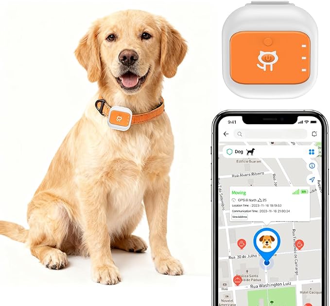 Smart GPS Tracker for Cat Dog GPS Collar Tracker for Pet Anti-Lost Device for Pets (Large for Dog)