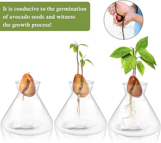 1 PCS Avocado Seed Starter Vases, Pit Planter Pot Avocado Tree Growing Kit Acorn Bulb Vase Grow Glass Blue Hydroponics Container for Gardening Lover