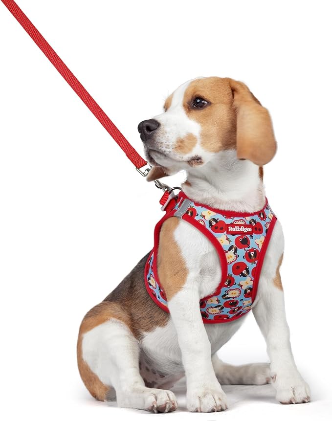 rabbitgoo Dog Harness Medium Sized and Leash Set, Step-in Puppy Pet Vest | Light, Soft, Breathable Air Mesh, Easy on and Remove with Hook & Loop, Secure Reflective for Walking, Apple Pups L