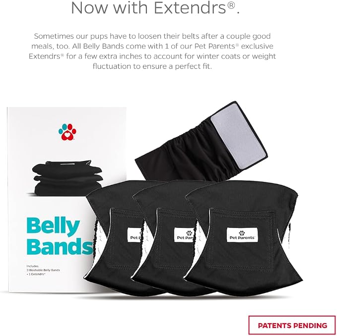 Pet Parents Washable Belly Band Male Dog Diapers, Dog Wraps and EXTENDRS, Black, X-Small: 1