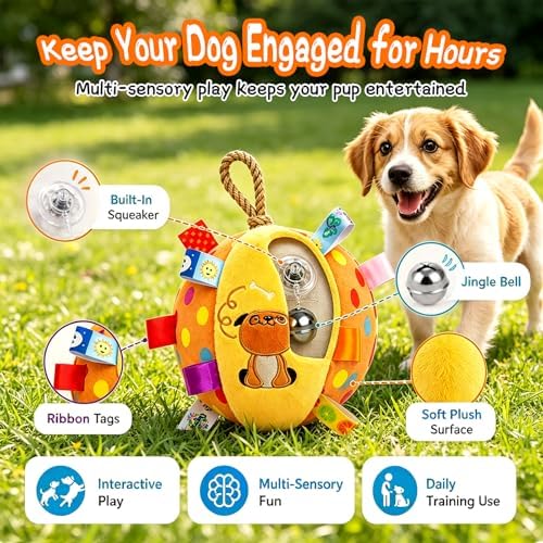 Squeaky Play Balls for Dogs - 6-inch Soft Puppy Ball with Bell