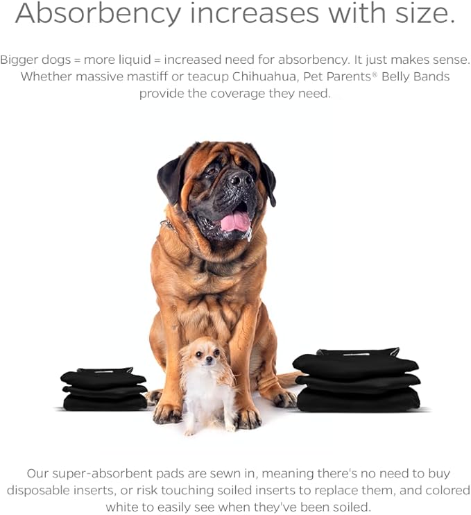 Pet Parents Washable Belly Band Male Dog Diapers, Dog Wraps and EXTENDRS, Black, X-Small: 1
