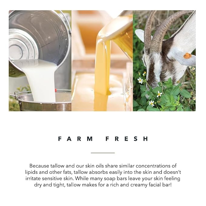 Pretty farm girl Facial Cleansing Bar – Tallow & Goat Milk Soap with Lavender & Frankincense – Gentle Face Cleanser for Sensitive Skin, 5oz
